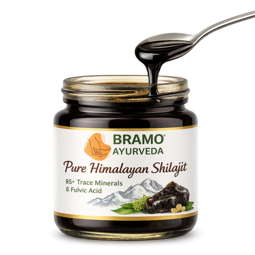 Pure Himalayan Shilajit (Resin)